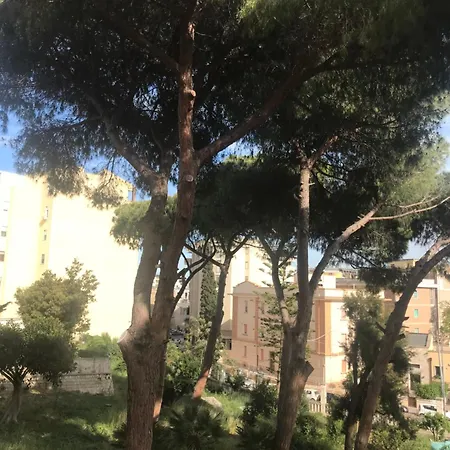 San Giuseppe * Brindisi